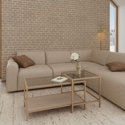 Komplekt 2x kohvilaud SARON 90x50 cm hall/läbipaistev