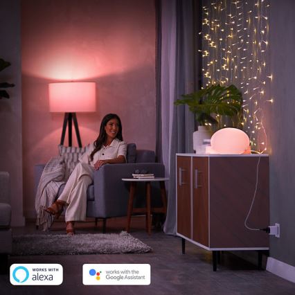 KOMPLEKT 2x Nutikas pistikupesa Philips Hue Smart plug