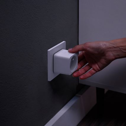 Komplekt 2x nutipesa Philips Hue Smart plug