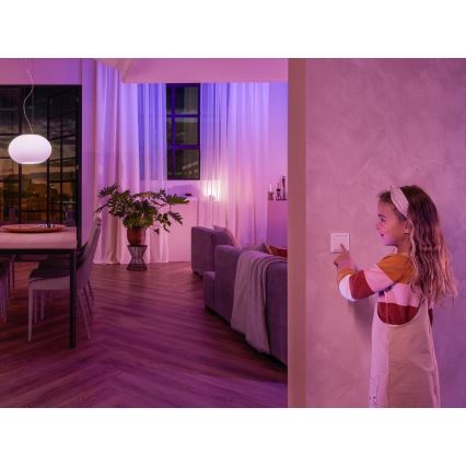 KOMPLEKT 2x Seinalüliti moodul Philips Hue SWITCH