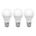 KOMPLEKT 3x LED Pirn ECOLINE A60 E27/10W/230V 6500K - Brilagi