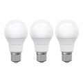 KOMPLEKT 3x LED Pirn ECOLINE A60 E27/15W/230V 6500K - Brilagi