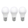 KOMPLEKT 3x LED Pirn ECOLINE A60 E27/15W/230V 6500K - Brilagi