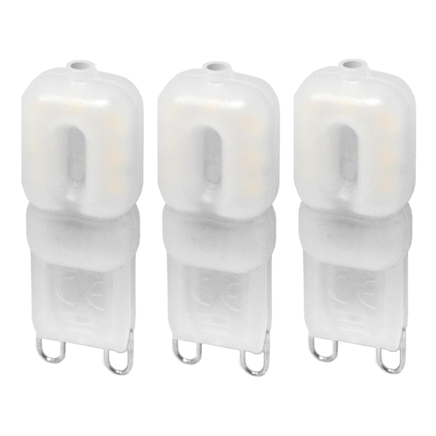 KOMPLEKT 3x LED Pirn ECOLINE G9/2,5W/230V 3000K - Brilagi