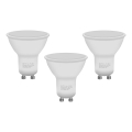 KOMPLEKT 3x LED Pirn ECOLINE GU10/6W/230V 4000K - Brilagi