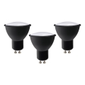 KOMPLEKT 3x LED Pirn ECOLINE GU10/6W/230V 4000K must - Brilagi