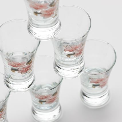Komplekt 6x likööriklaas lillekimbumustriga nr 2
