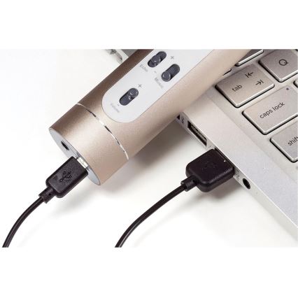 Kuldne karaokamikrofon 6W/5V 1500 mAh Bluetooth