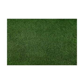 Kunstmuru BELLIN 200x400 cm 18 mm roheline