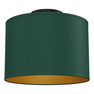 Laelamp ARDEN 1xE27/15W/230V, läbimõõt 25 cm, roheline