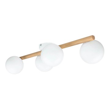 Laelamp ELYON 4xG9/40W/230V männipuit