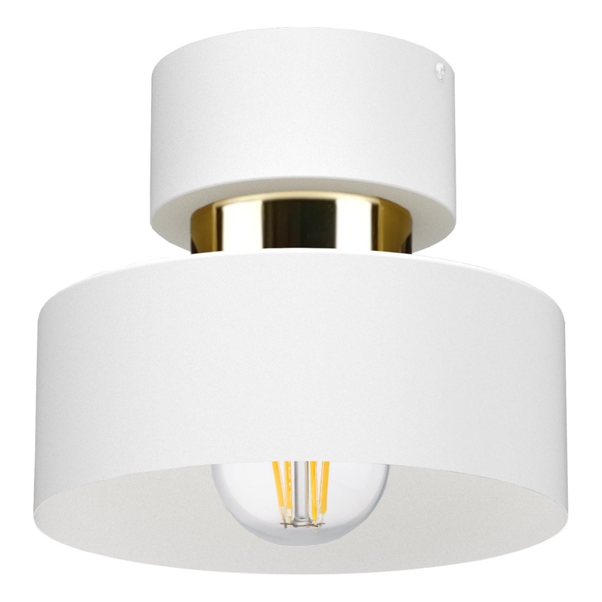 Laelamp IGNIA 1xE27/60W/230V valge