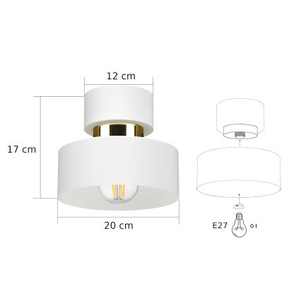 Laelamp IGNIA 1xE27/60W/230V valge