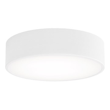 Laelamp liikumis- ja hämarussensoriga CLEO, 2xE27/24W/230V, läbimõõt 30 cm, valge