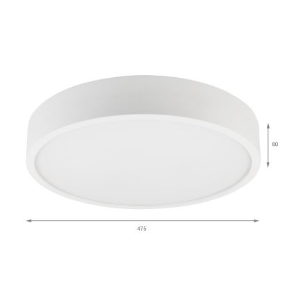 Laelamp NATURAL 5xE27/15W/230V, läbimõõt 47,5 cm, männipuit/valge