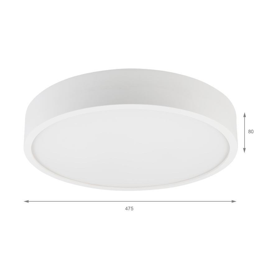Laelamp NATURAL 5xE27/15W/230V, läbimõõt 47,5 cm, männipuit/valge