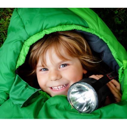 Laetav LED-taskulamp LED/5V 500 lm 1200 mAh must