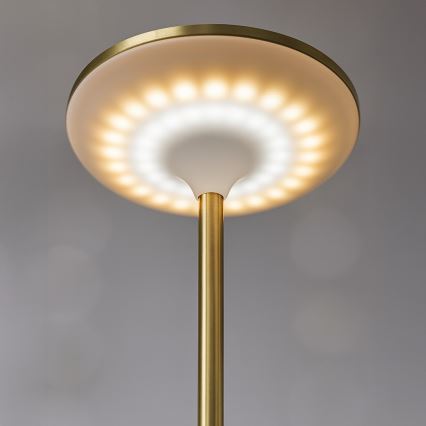 Laetav puutetundlik lauavalgusti TAVOLO LED/2,5W/5V 2400 mAh 3000-6000K kuldne