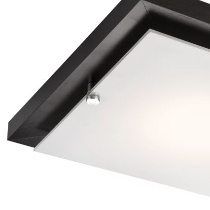 Laevalgusti 1xE27/60W/230V mänd
