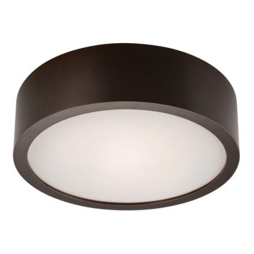 Laevalgusti 1xE27/60W/230V mänd