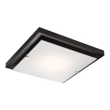 Laevalgusti 1xE27/60W/230V mänd