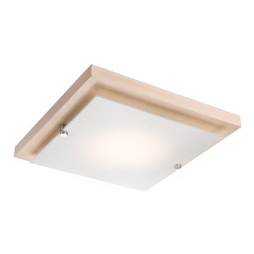 Laevalgusti 1xE27/60W/230V pöök