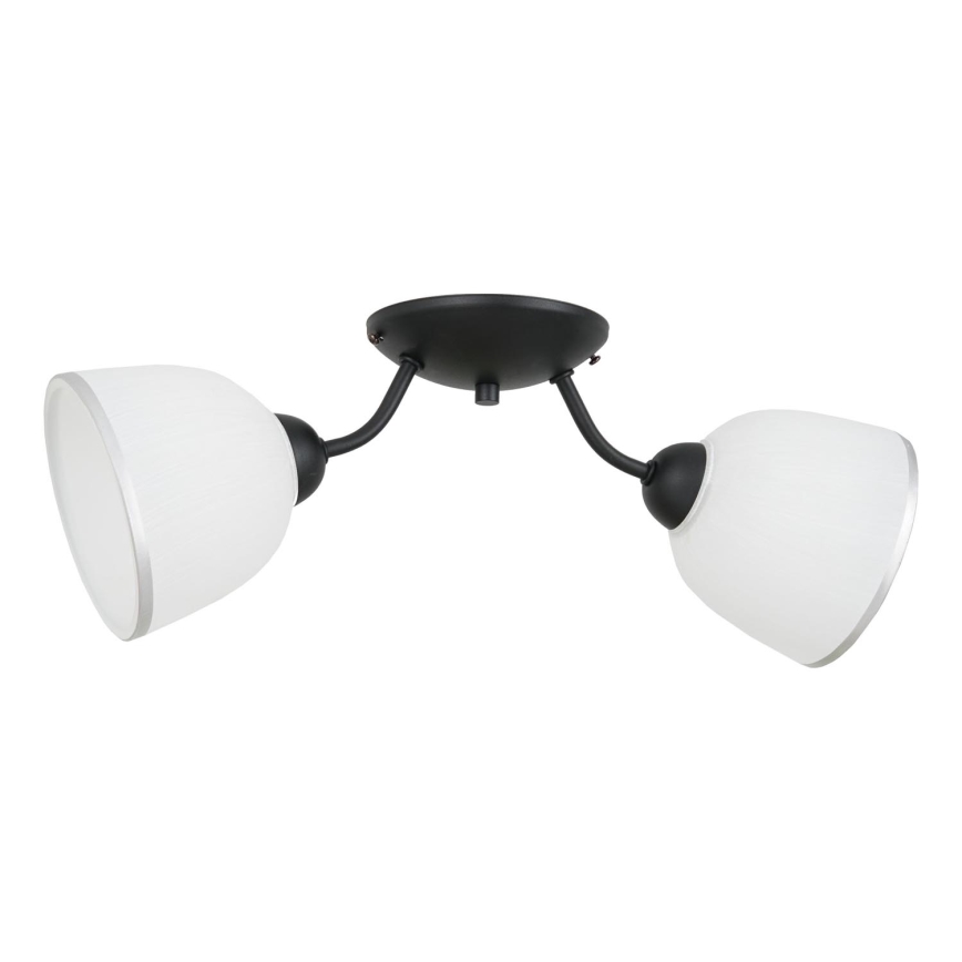 Laevalgusti AVIA 2xE27/60W/230V