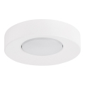 Laevalgusti BROS 1xGX53/12W/230V valge