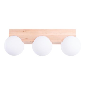 Laevalgusti BULBO 3xG9/8W/230V pöök/valge