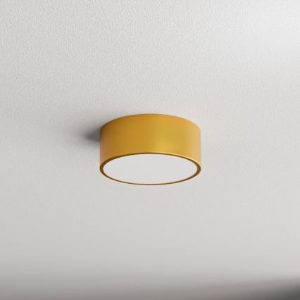 Laevalgusti CLEO 1xE27/24W/230V diameeter 20 cm kuldne