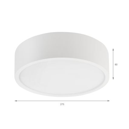 Laevalgusti NATURAL 1xE27/15W/230V, läbimõõt 27,5 cm, mänd/valge
