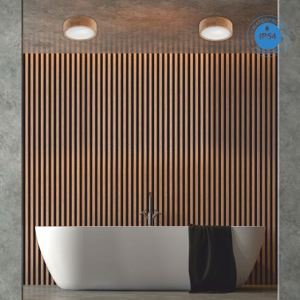 Laevalgusti vannituppa OAK 2xE27/15W/230V IP54 tamm ø 27 cm