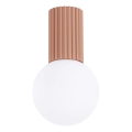 Laevalgusti vannituppa HALO 1xG9/8W/230V d. 12 cm IP44 pruun