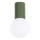 Laevalgusti vannituppa HALO 1xG9/8W/230V d. 12 cm IP44 roheline