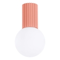 Laevalgusti vannituppa HALO 1xG9/8W/230V d. 12 cm IP44 roosa