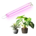 LED allapõhise taimekasvatusvalgusti GROWLY 2xLED/8,5W/230V valge