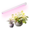 LED allapõhise taimekasvatusvalgusti GROWLY LED/9W/230V valge