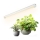 LED allapõhise taimekasvatusvalgusti GROWLY LED/9W/230V valge