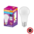 LED Antibakteriaalne pirn A100 E27/13W/230V 6500K - Osram