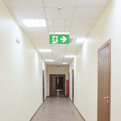 LED Avariivalgusti EMERGENCY EXIT LED/2,5W/230V 4-ühes 6000K