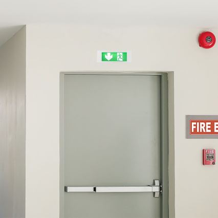 LED Avariivalgusti EMERGENCY EXIT SAMSUNG CHIP LED/3,8W/230V 6000K