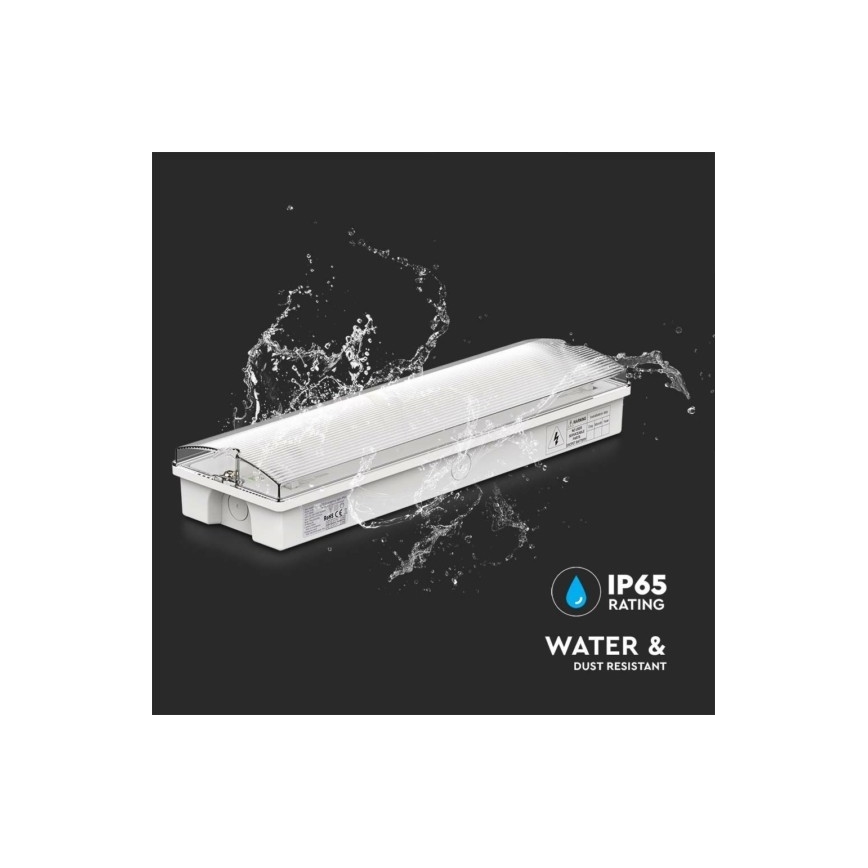 LED Avariivalgusti EMERGENCY EXIT LED/3W/230V 6400K IP65