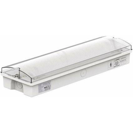LED Avariivalgusti tavalise funktsionaalsustestiga EMERGENCY EXIT LED/3W/230V 6400K IP65