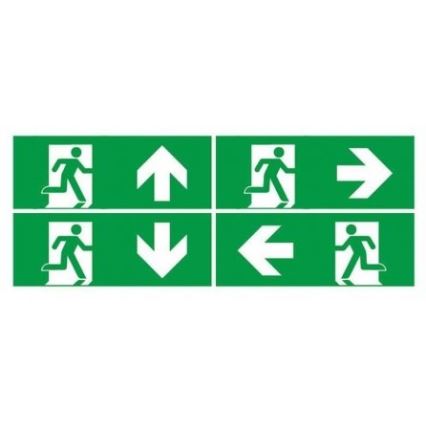 LED Avariivalgusti tavalise funktsionaalsustestiga EMERGENCY EXIT LED/3W/230V 6400K IP65