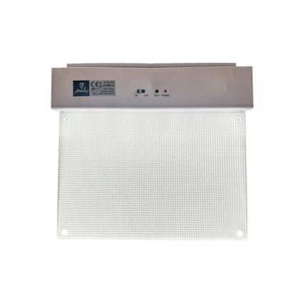 LED Avariivalgusti LED/2W/230V 6000K 300 mAh