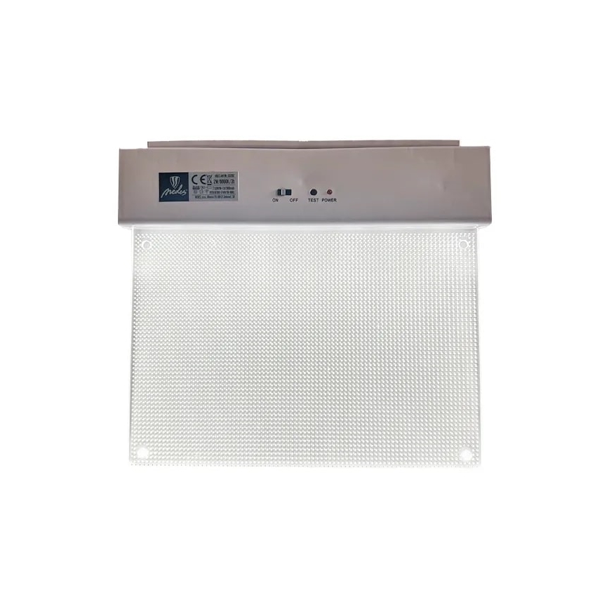 LED Avariivalgusti LED/2W/230V 6000K 300 mAh