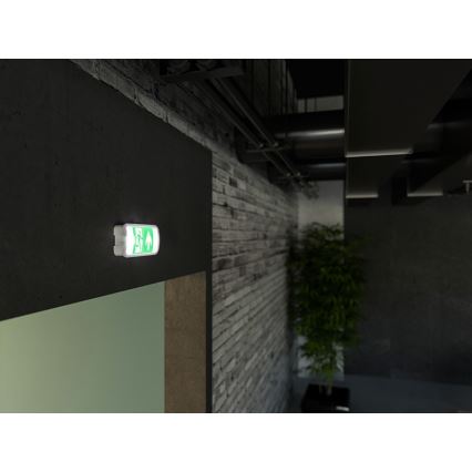 LED Avariivalgusti VIRGO EVO LED/1W/230V 6000K IP65