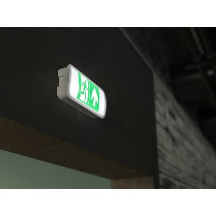 LED Avariivalgusti VIRGO EVO LED/1W/230V 6000K IP65