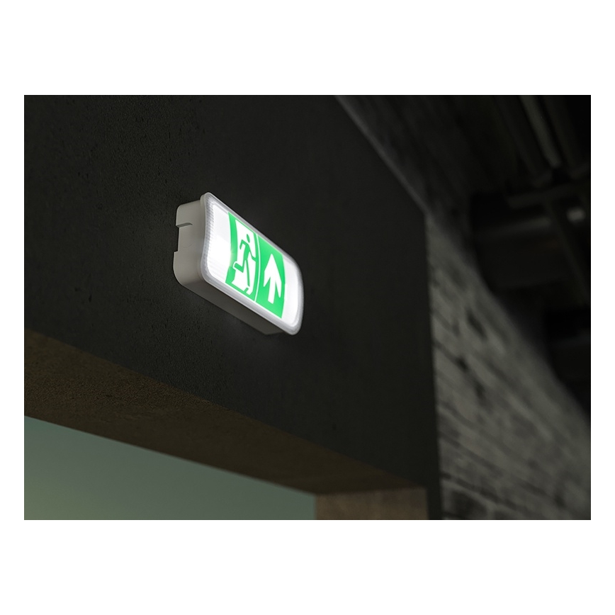 LED Avariivalgusti VIRGO EVO LED/1W/230V 6000K IP65