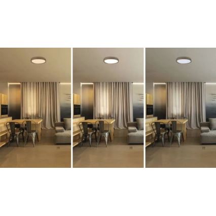 Hämardatav LED laelamp ILVI LED/30W/230V 2700-6500K läbimõõt 40 cm puitviimistlus + kaugjuhtimispult